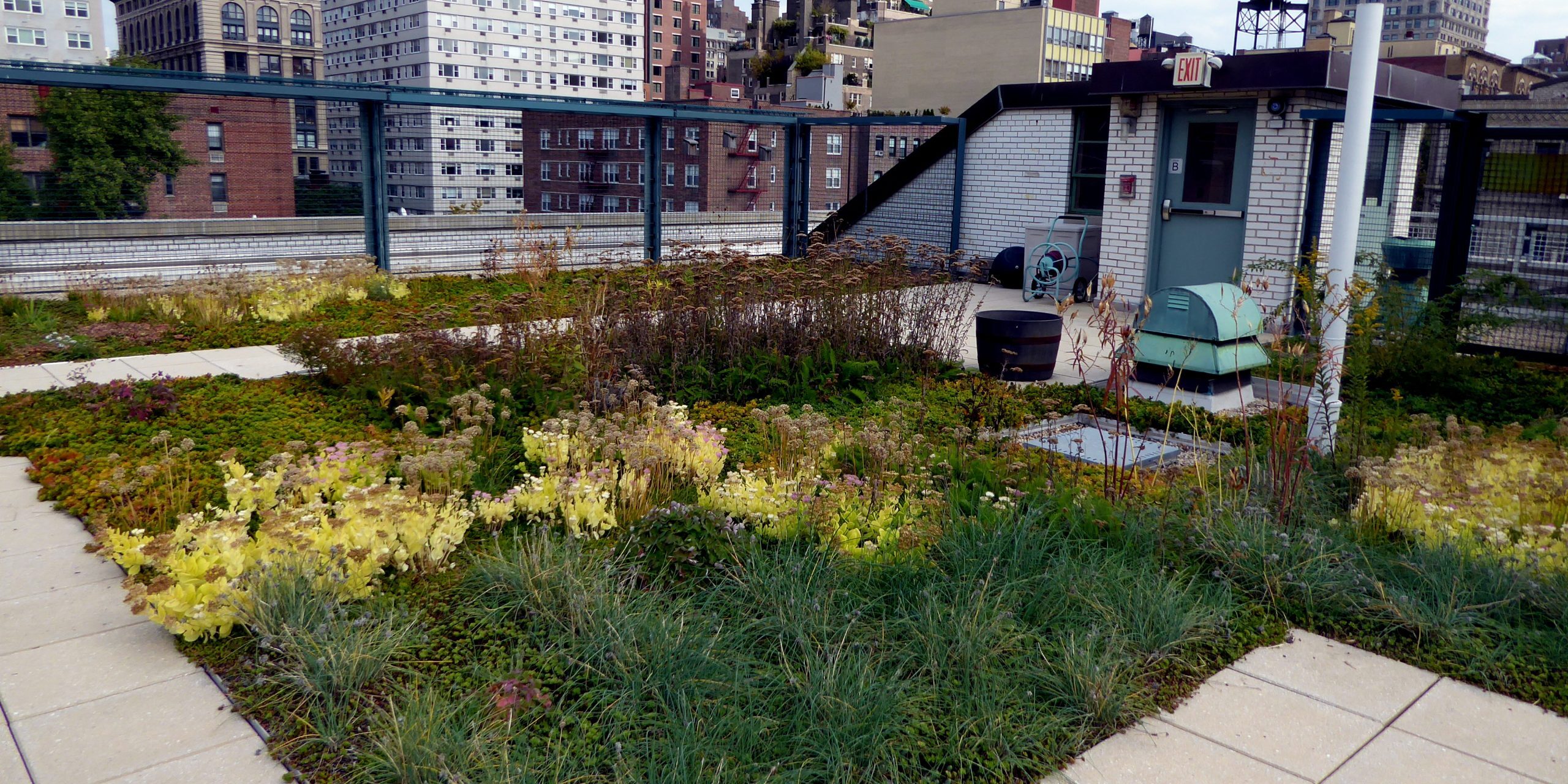 Understanding NYC's Green Roof Requirements