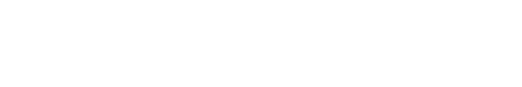 VetraCheck